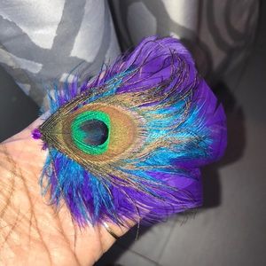 Peacock Hair Clip